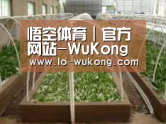 环境展示五