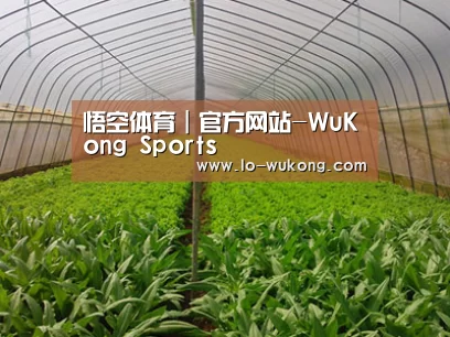 种植基地四