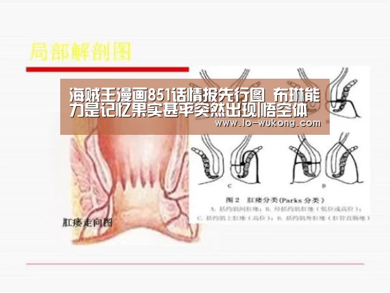 海贼王漫画851话情报先行图 布琳能力是记忆果实甚平突然出现|悟空体育足球直播(图3) 悟空体育直播